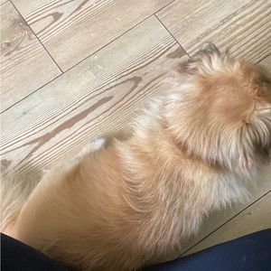 Meet your Posher, Craig